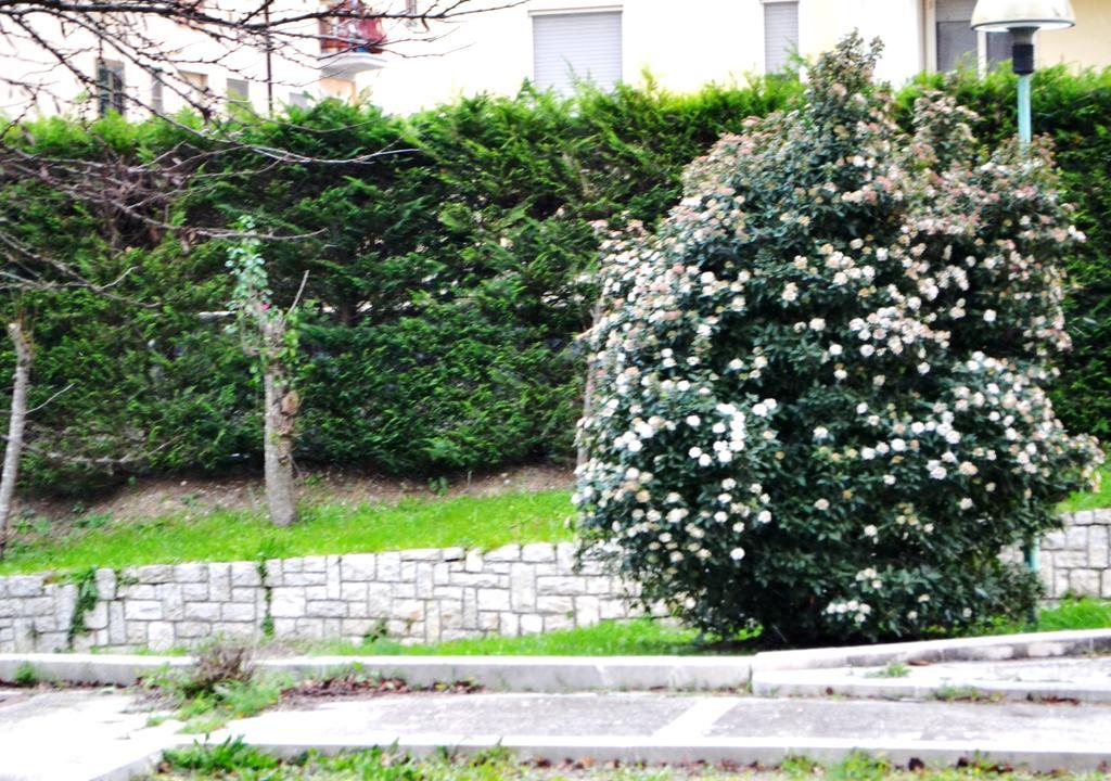 Apartmán La Casa Di Olga Matera Exteriér fotografie